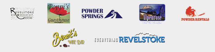 Bronze Sponsors