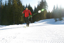 Nordic Skiing