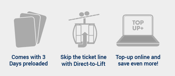Vertical card features