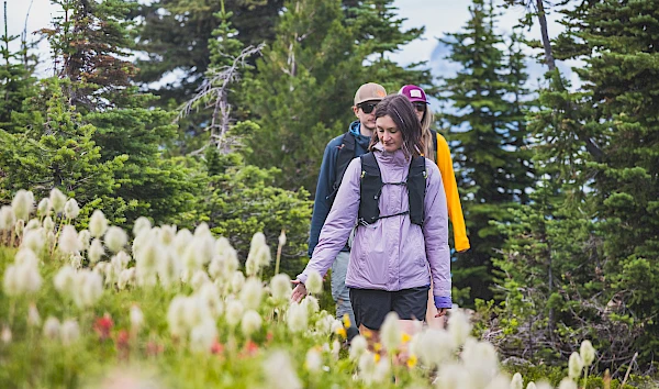 Hikers