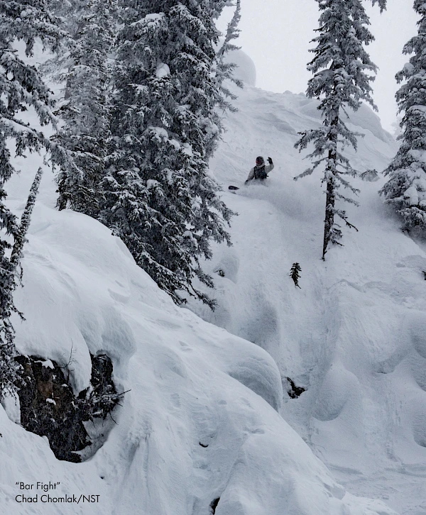 Navigating “Bar Fight”. Chad Chomlak / Natural Selection