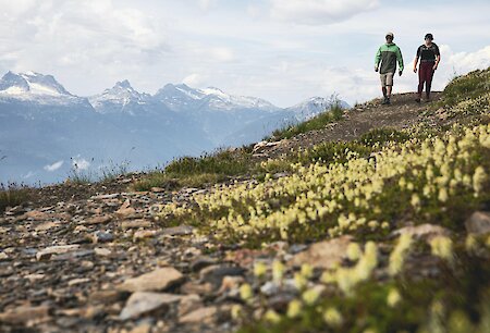 Hiking