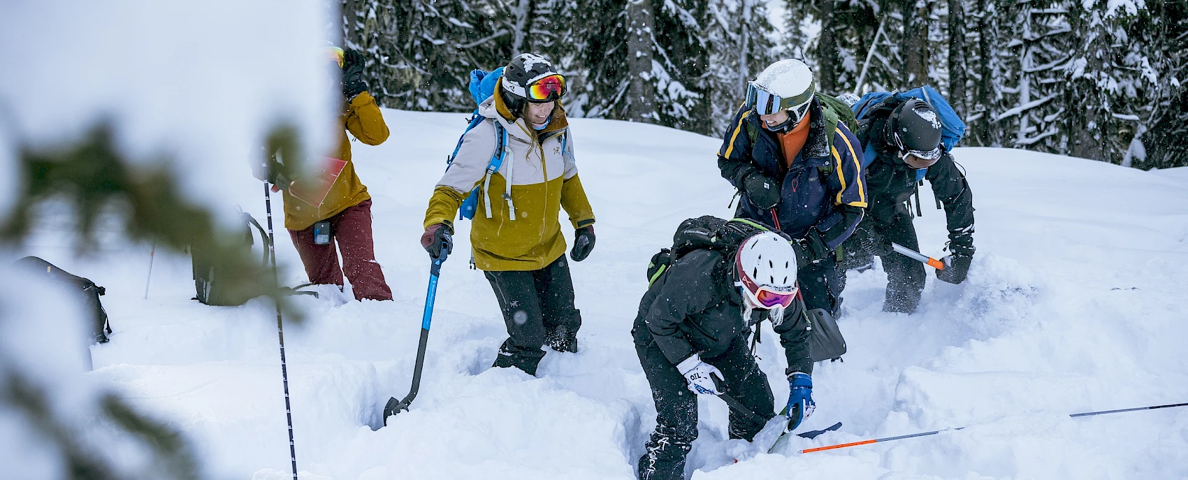 Avalanche Training Skills - Group Search