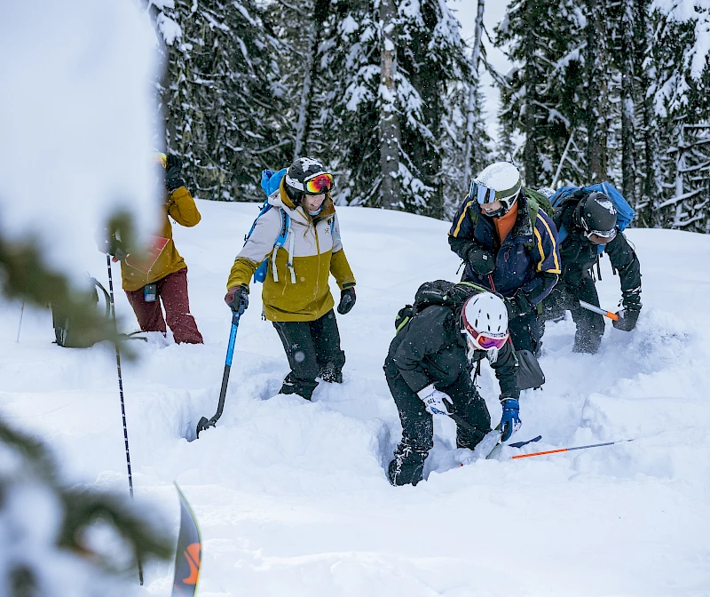 Avalanche safety training with a group practicing rescue techniques in deep snow