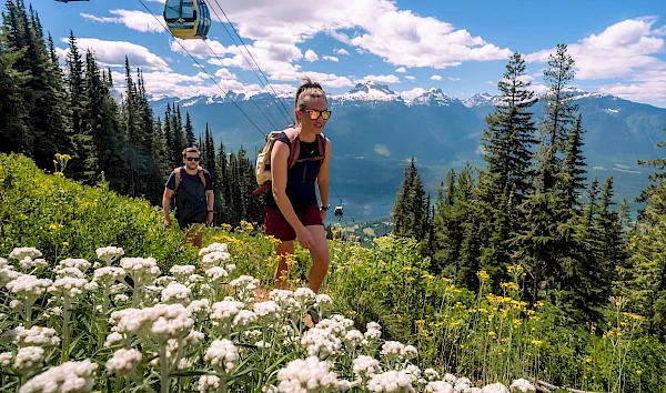 Sightseeing & Hiking, Revelstoke Mountain Resort