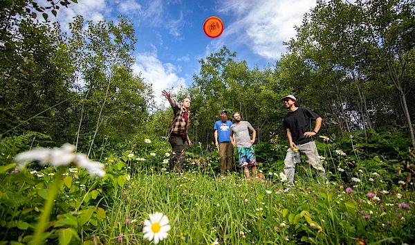 Disc Golf