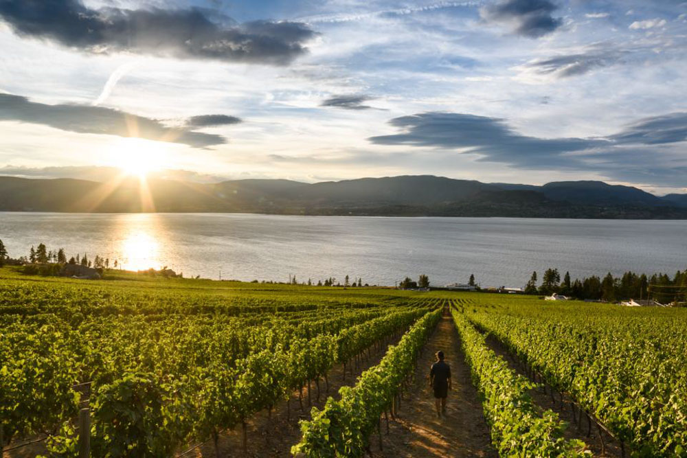 Cedar Creek Estates Winery, Kelowna BC