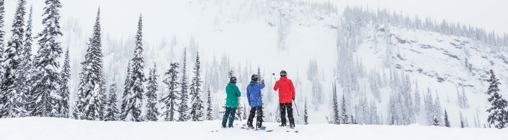 revelstoke hookup
