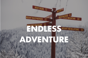 Endless Adventure