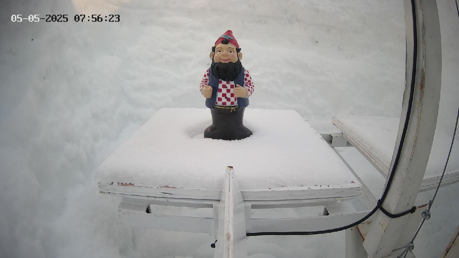 Gnorm the Powder Gnome (27cm | 10.6in tall) - Cleared @ 3pm Daily