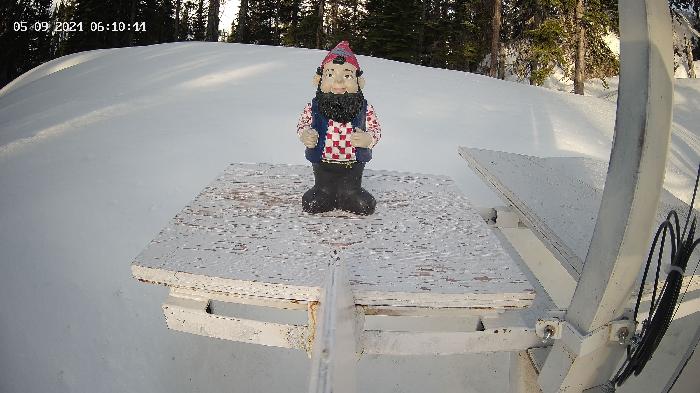 Gnorm the Powder Gnome (27cm | 10.6in tall) - Cleared @ 3pm Daily