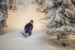 Photo credit: Hywel Williams