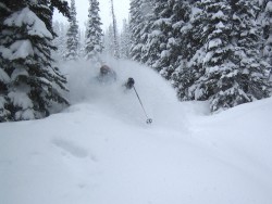 Photo credit: Great Northern Snowcat Skiing