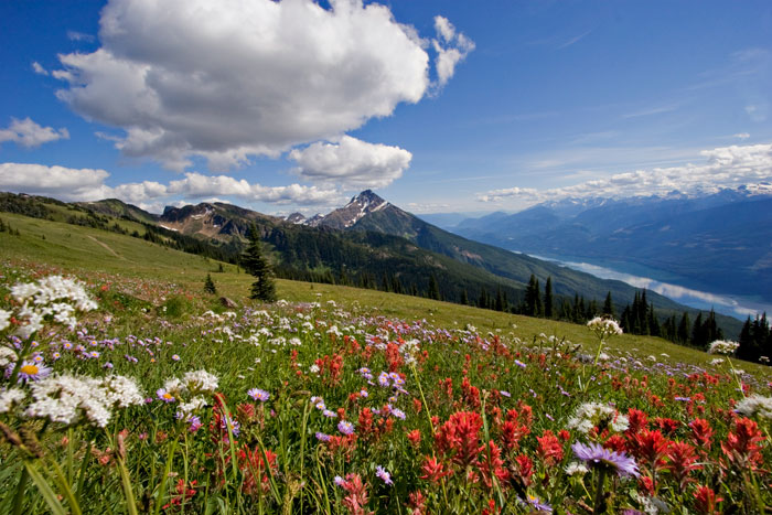 New Hiking Trails Open This Summer Revelstoke Mountain Resort British Columbia, Canada