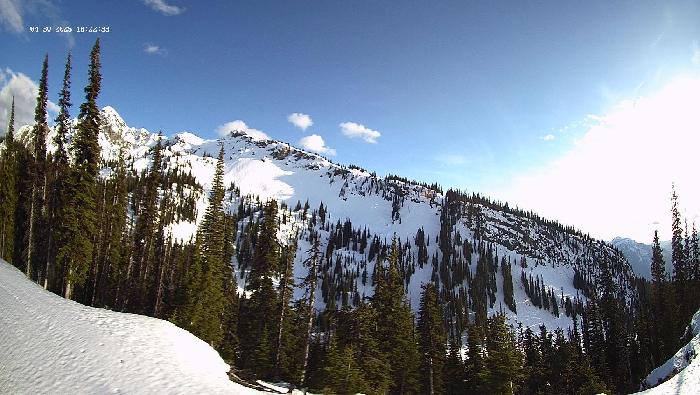 Revelstoke Mountain Resort -  Ripper Webcam