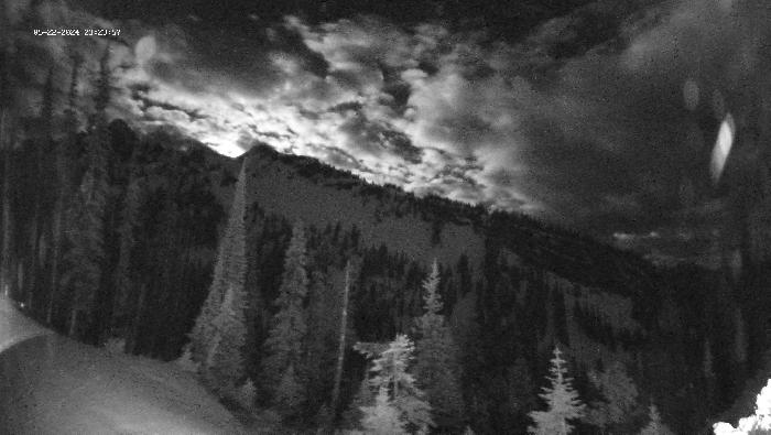 Revelstoke Mountain Resort -  Ripper Webcam