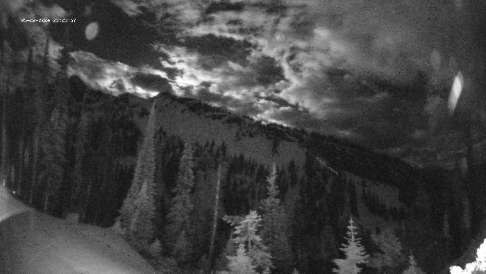 Revelstoke Mountain Resort -  Ripper Webcam