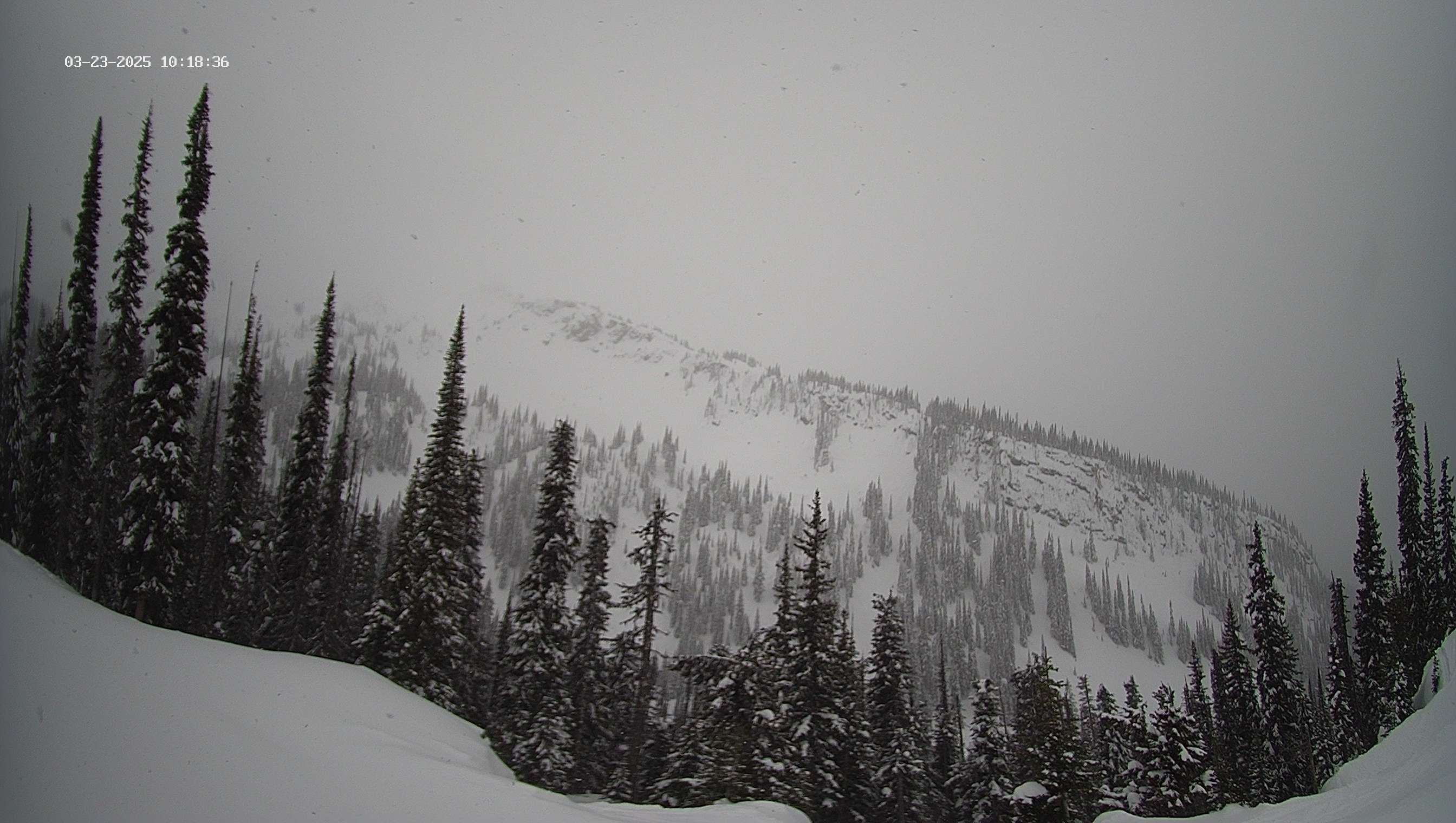 Subpeak Weather, Revelstoke Mountain Resort