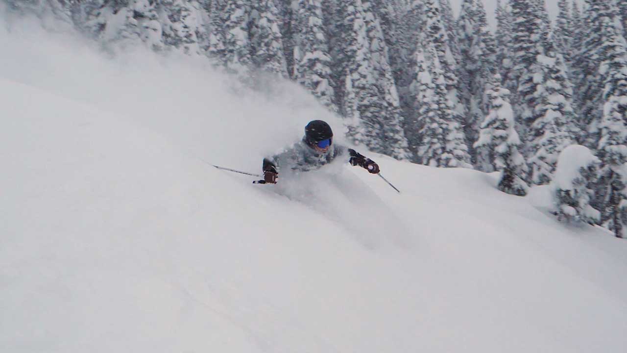 Snow Check, December 20