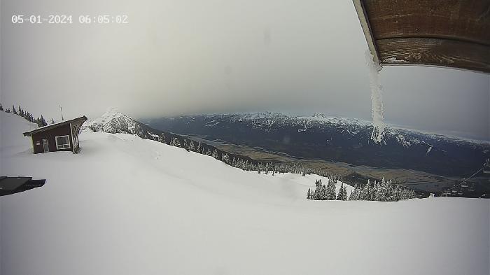 Revelstoke Mountain Resort -  Top of The Stoke Webcam