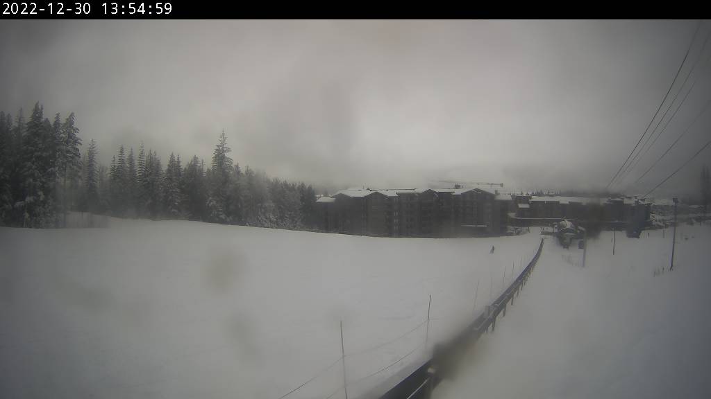 Turtle Creek Webcam View Turtle Creek Webcam View